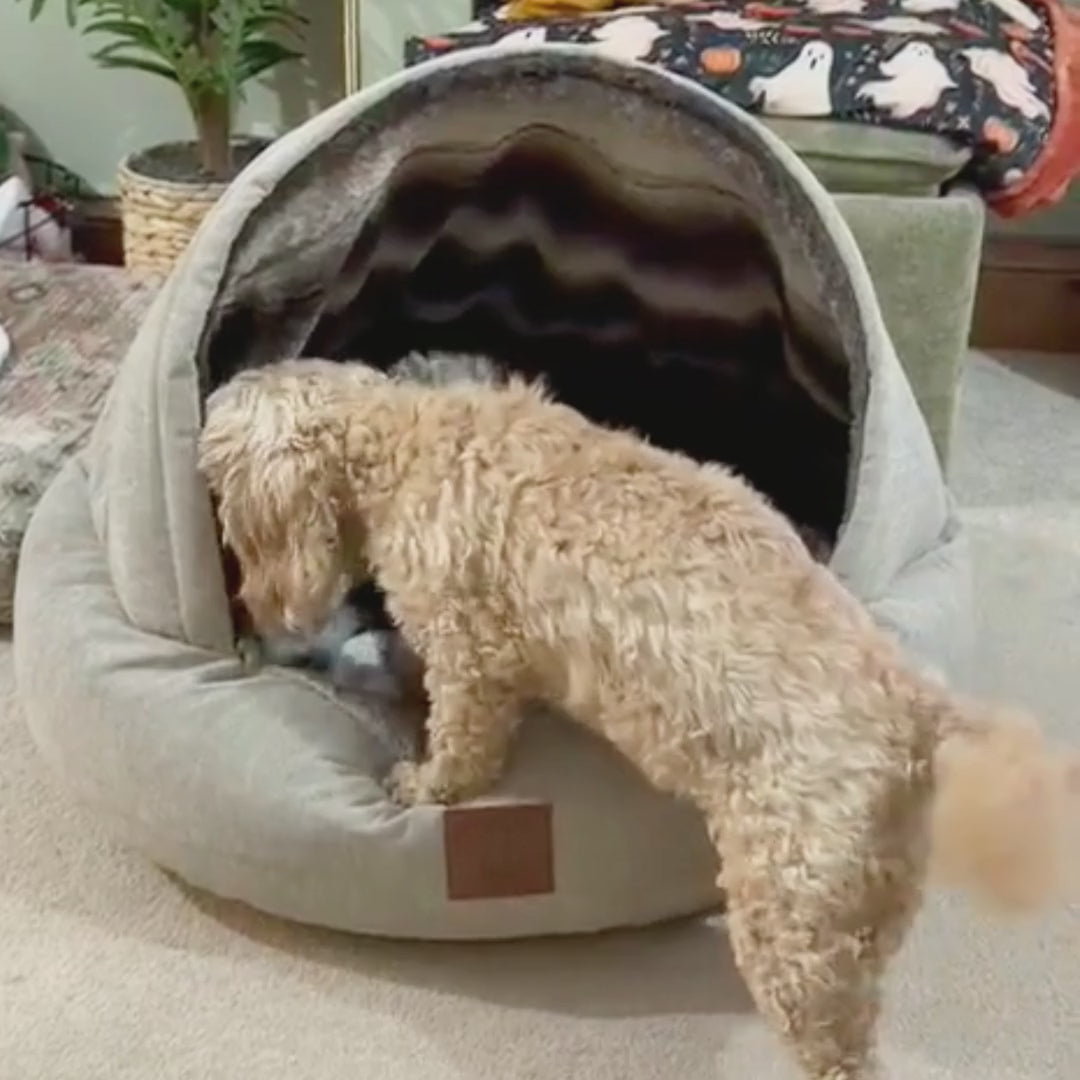 Beige Luxury Deluxe Comfort Cocoon Dog Cave Bed | Collared