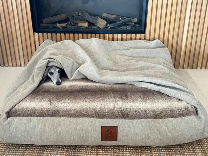 Consistent Warmth for Cold‑Prone and Senior Dogs