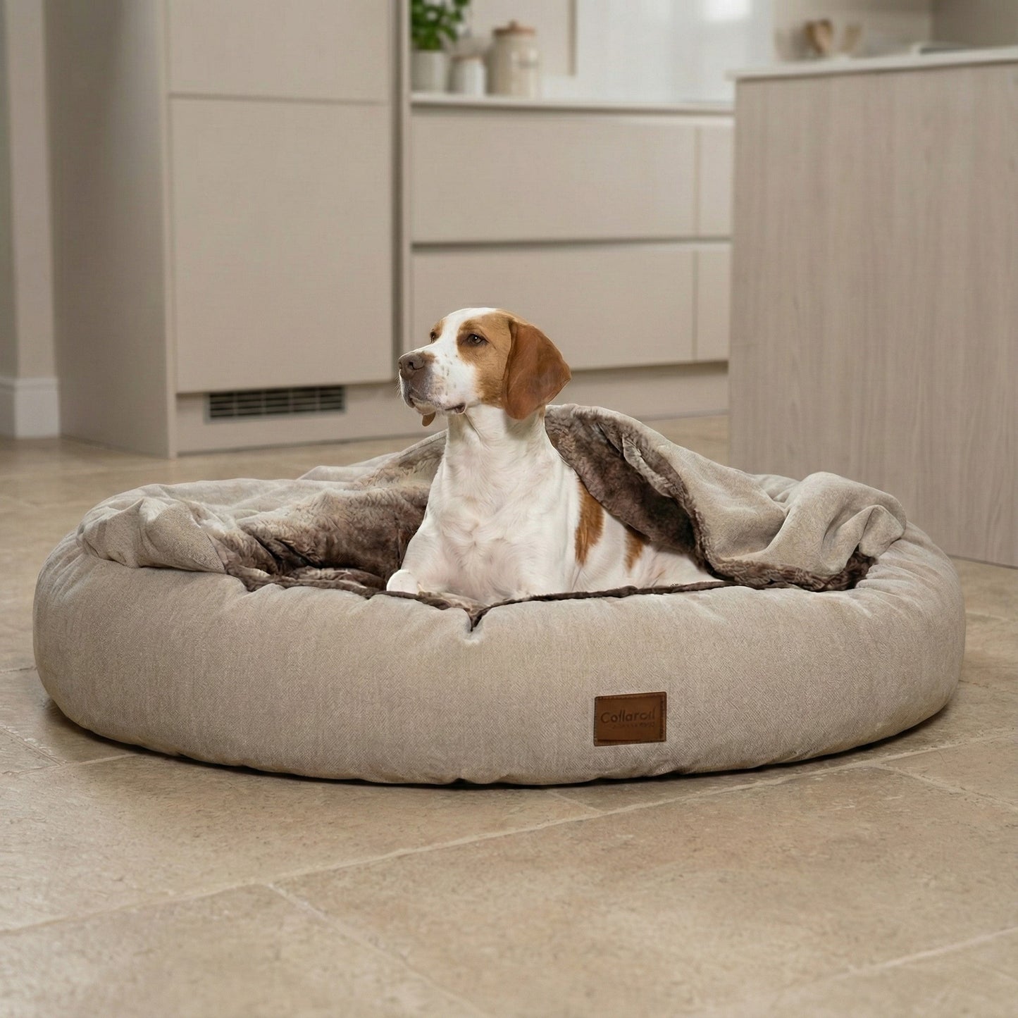 Dog lying on a large round hooded dog cocoon bed for cold and anxious dogs  in a kitchen