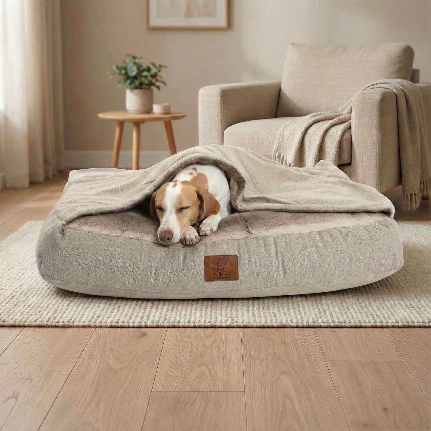 jack russell curled up inside beige snuggle bed for dogs, resting comfortably on faux fur base - Collared Creatures