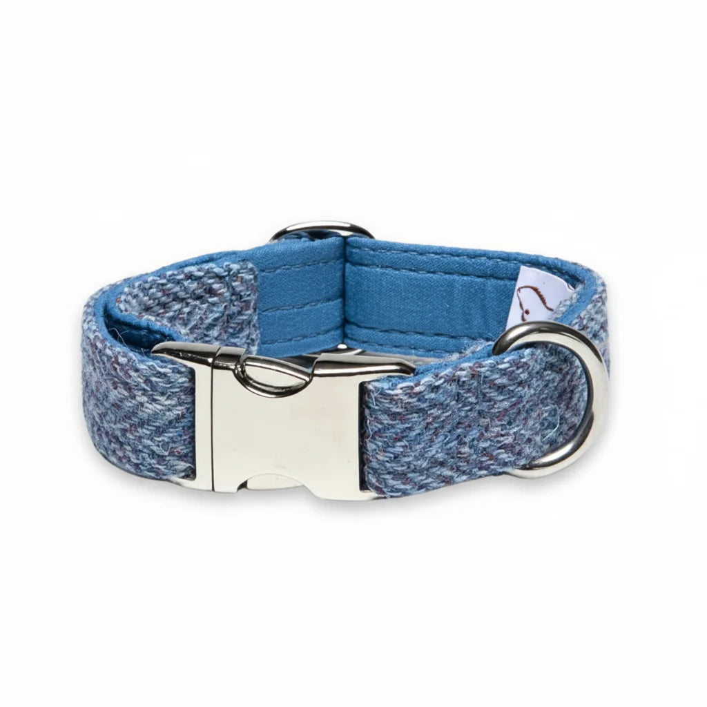 Blue herringbone Harris Tweed dog collar with metal buckle on a white background