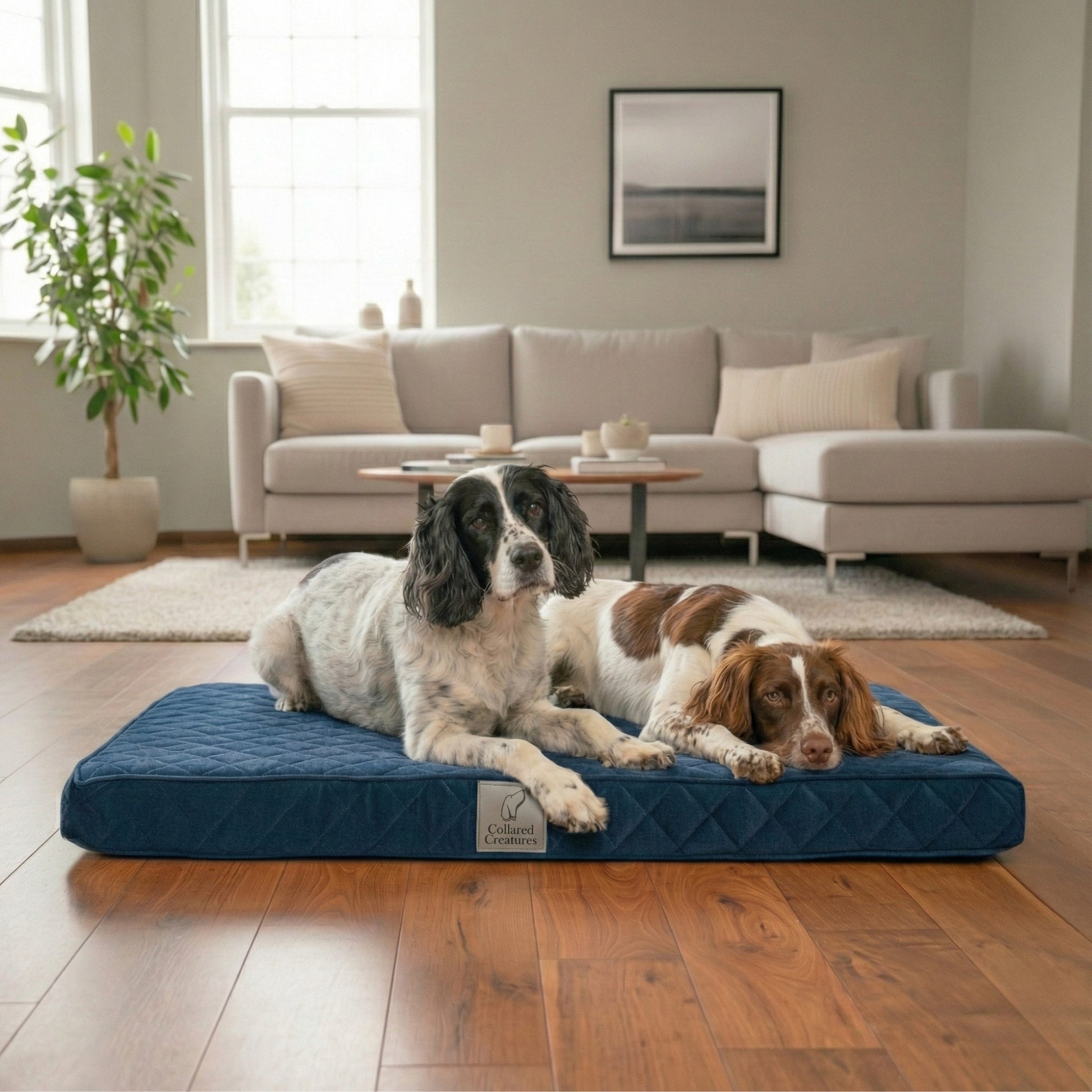 Two spaniels lying on a navy blue quilted luxury dog mattress bed in a modern living room