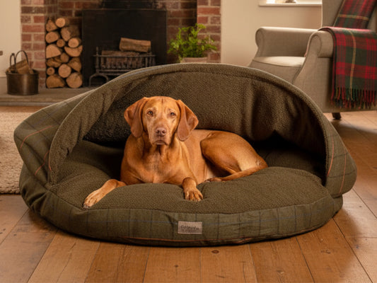 Dog lying in a green dog cave bed in a cozy living room with a fireplace and logs.