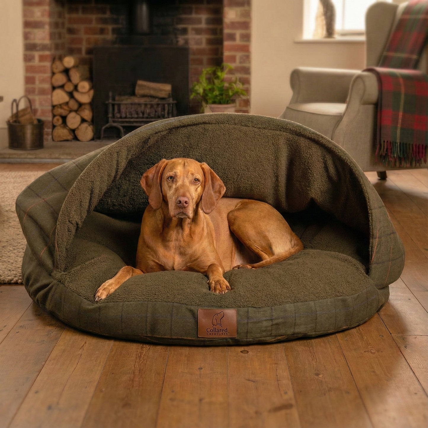 Dog lying in a green dog cave bed in a cozy living room with a fireplace and logs.