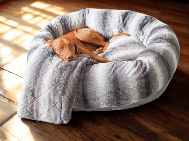 Calming Cuddle Ring for Anxious Dogs