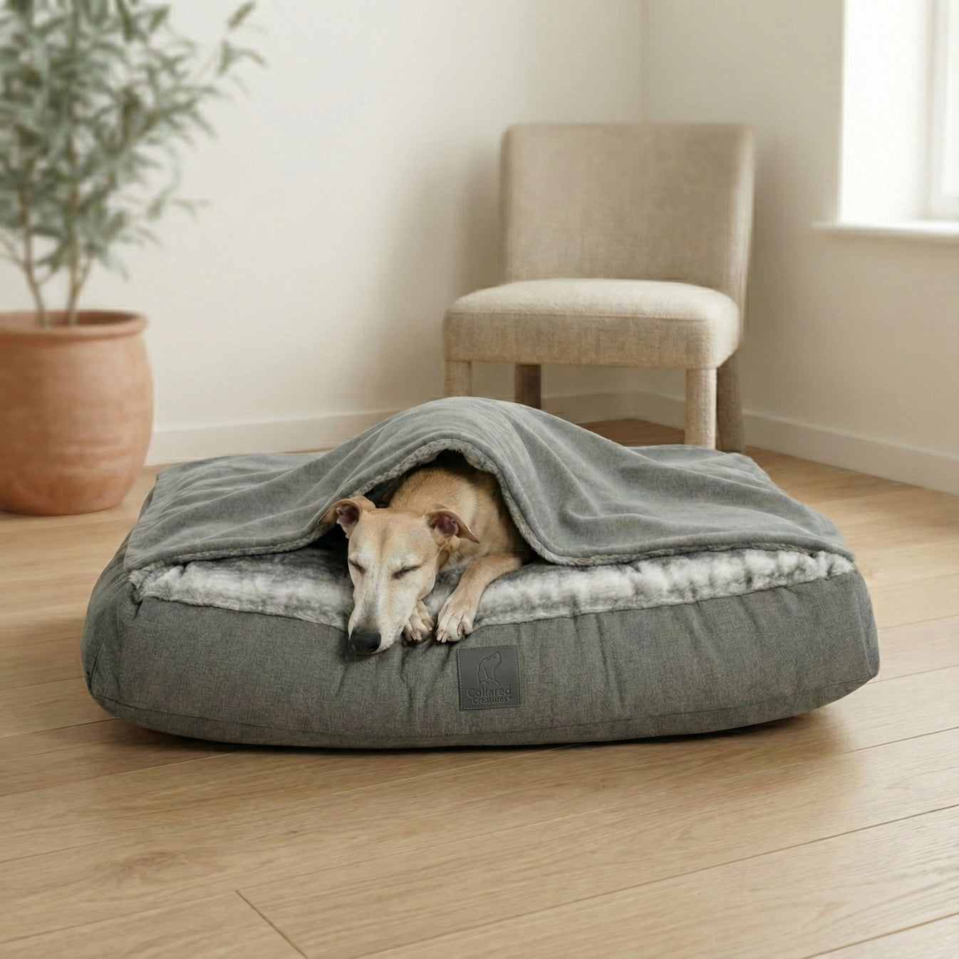 Grey Luxury Dog Snuggle Bed – Hooded, Calming & Cosy – Collared Creatures