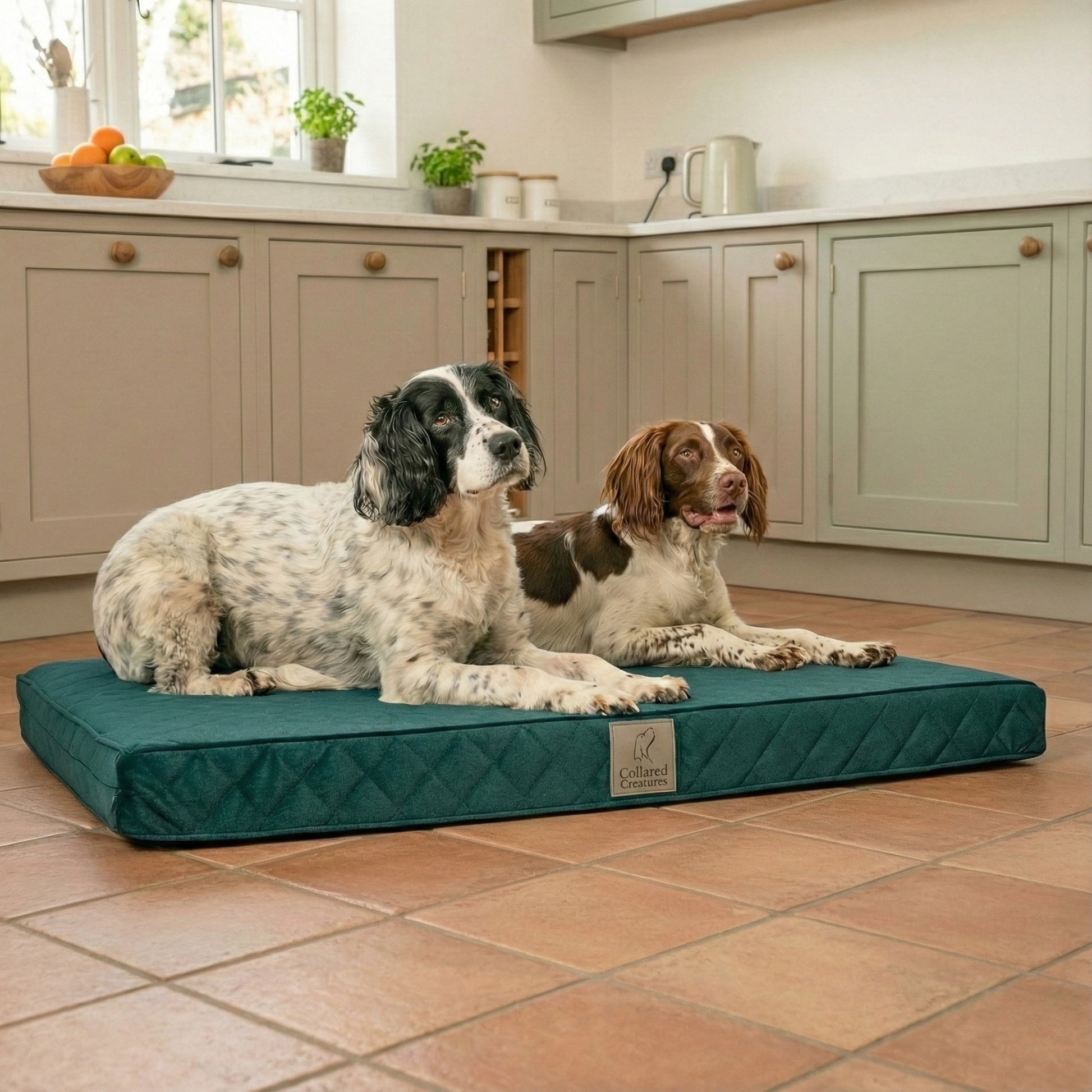 Two spaniels lying on an orthopaedic emerald green dog mattress bed in a kitchen. foam insert