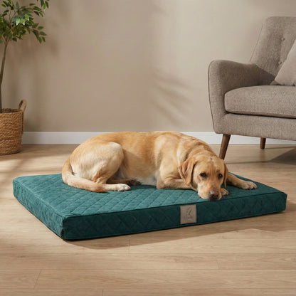 golden retriever sleeping on orthopaedic dog mattress bed with foam cushion in living room setting