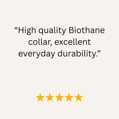 Country Green Waterproof Biothane Buckle Dog Collar - Collared Creatures LTD