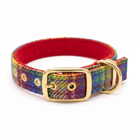 A multicolor plaid dog collar with a red interior lining and gold-tone metal hardware, shown on a plain white background.