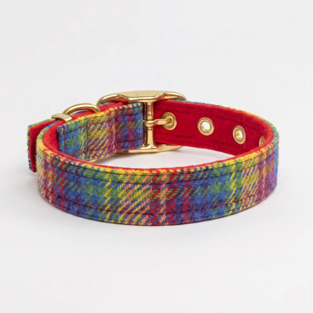 A multicolor plaid dog collar with a red interior lining and gold-tone metal hardware, shown on a clean white background.