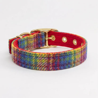 A multicolor plaid dog collar with a red interior lining and gold-tone metal hardware, shown on a clean white background.