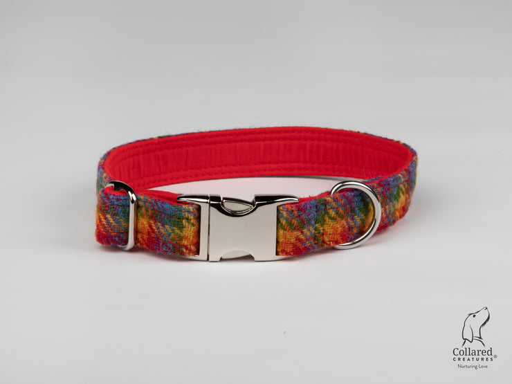Rainbow small  Check  Luxury Amor Tweed Dog Collar/collared creatures
