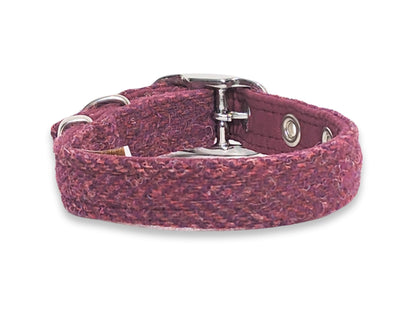 raspberry and coral harris tweed dog collar back view