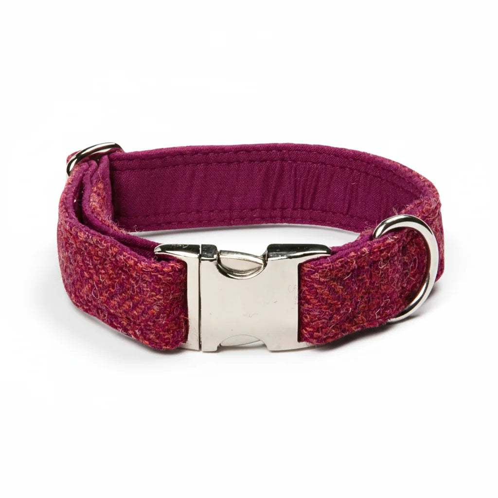 Raspberry and coral herringbone Harris Tweed dog collar with silver clasp on a white background
