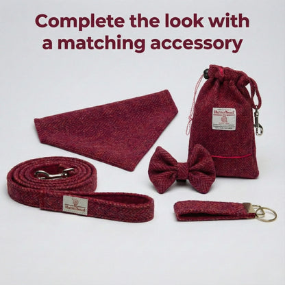 Set of red pet accessories including a bow tie, leash, and pouch on a white background.