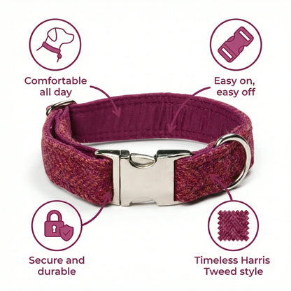 Raspberry & Coral Herringbone Harris Tweed Dog Collar - Collared Creatures LTD