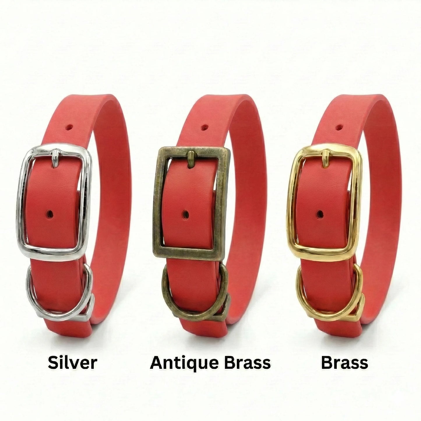Red Waterproof Biothane Buckle Dog Collar - Collared Creatures LTD