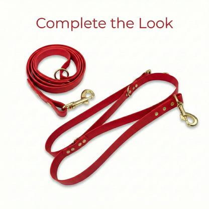 Red Waterproof Biothane Metal Clasp Dog Collar - Collared Creatures LTD