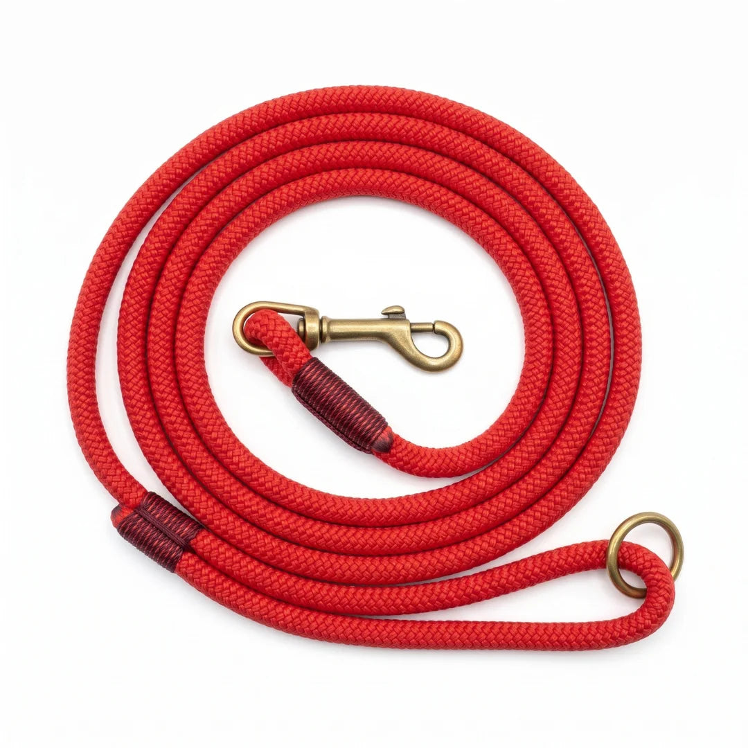 A coiled red braided rope leash with brass-colored metal hardware, including a swivel snap hook and a ring, shown on a plain white background.