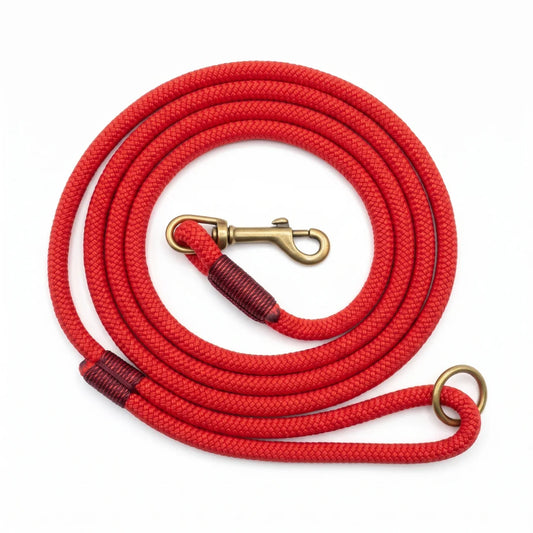 A coiled red braided rope leash with brass-colored metal hardware, including a swivel snap hook and a ring, shown on a plain white background.