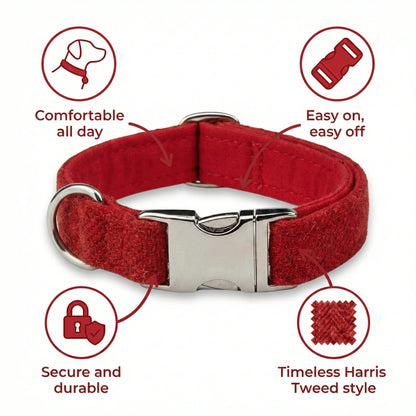 Simply Red Luxury Harris Tweed Dog Collar - Collared Creatures LTD