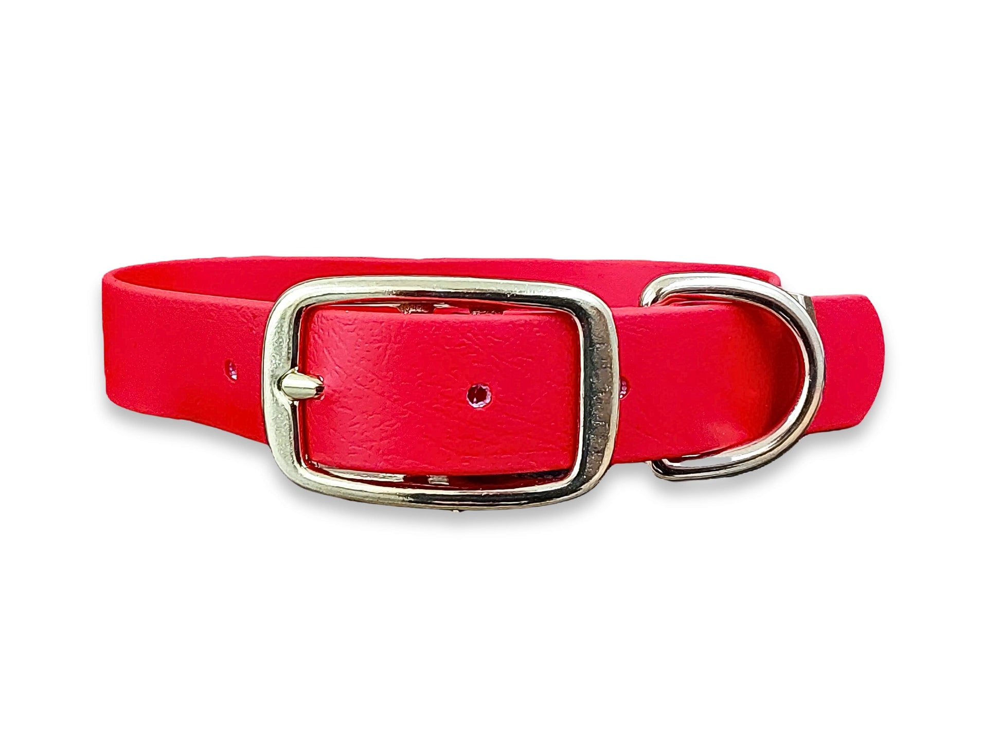 Waterproof and durable Red Biothane dog collar with sturdy buckle fastening – by Collared Creatures