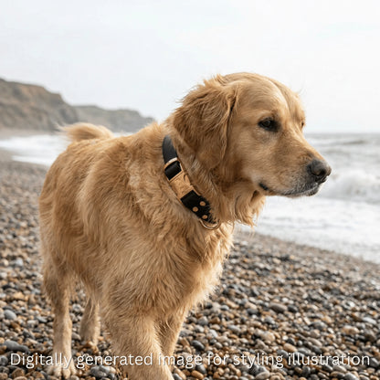 Black Waterproof Biothane Metal Clasp Dog Collar