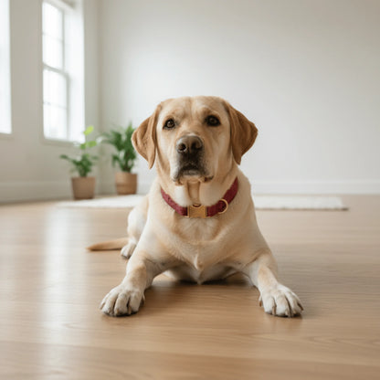 Deep Fuchsia Check Luxury Harris Tweed Dog Collar