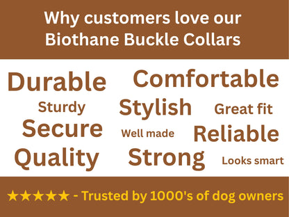 Promotional graphic for Biothane Buckle Collars highlighting features like durable, comfortable, and stylish.