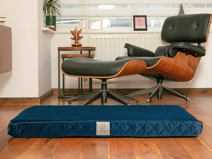 Sapphire blue velour dog mattress bed in stylish modern living room