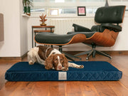 Spaniel relaxing and stretching on a sapphire blue velour mattress dog bed
