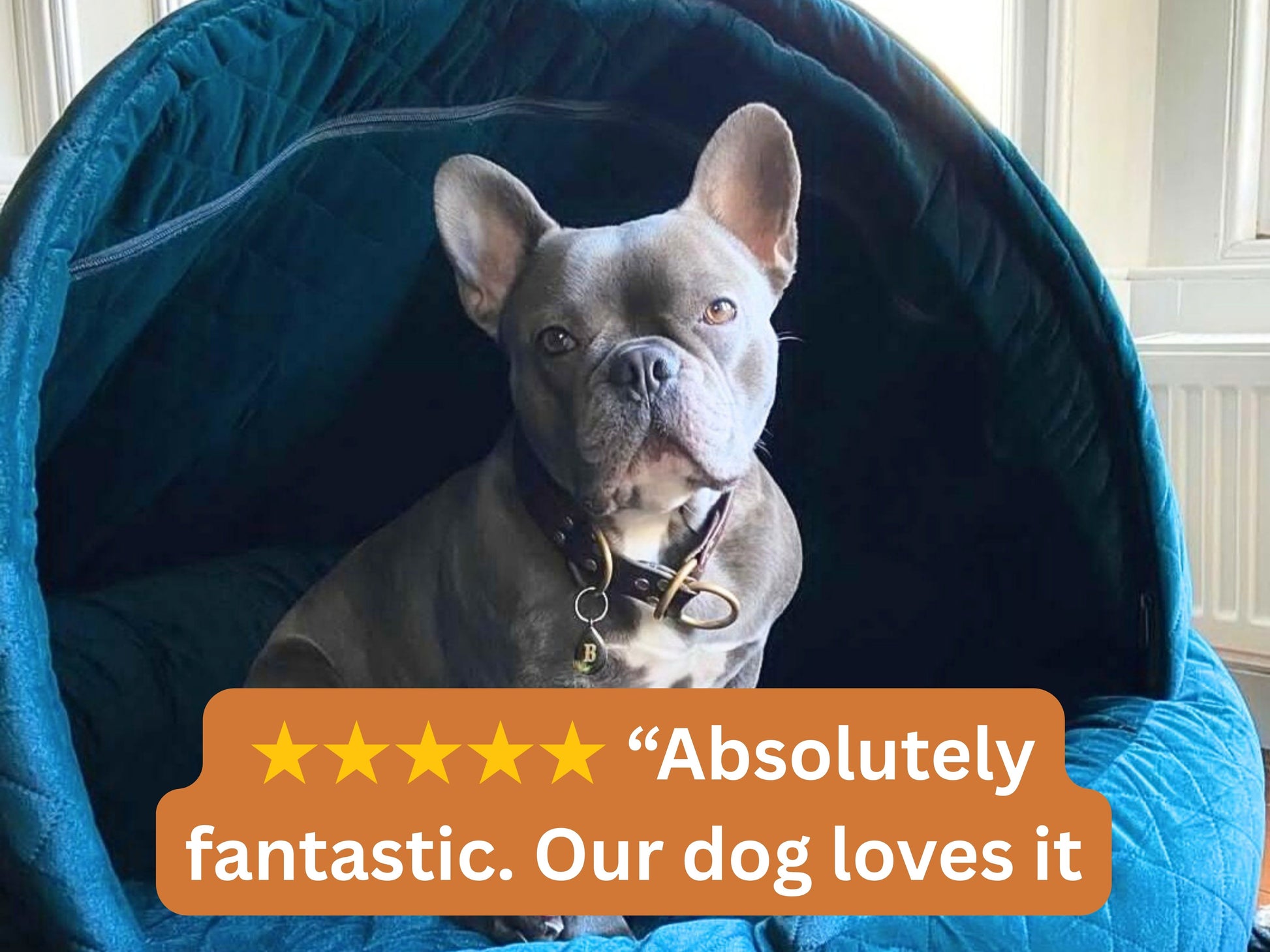 French Bulldog sitting in sapphire blue quilted velour deluxe cocoon dog bed with review text overlay