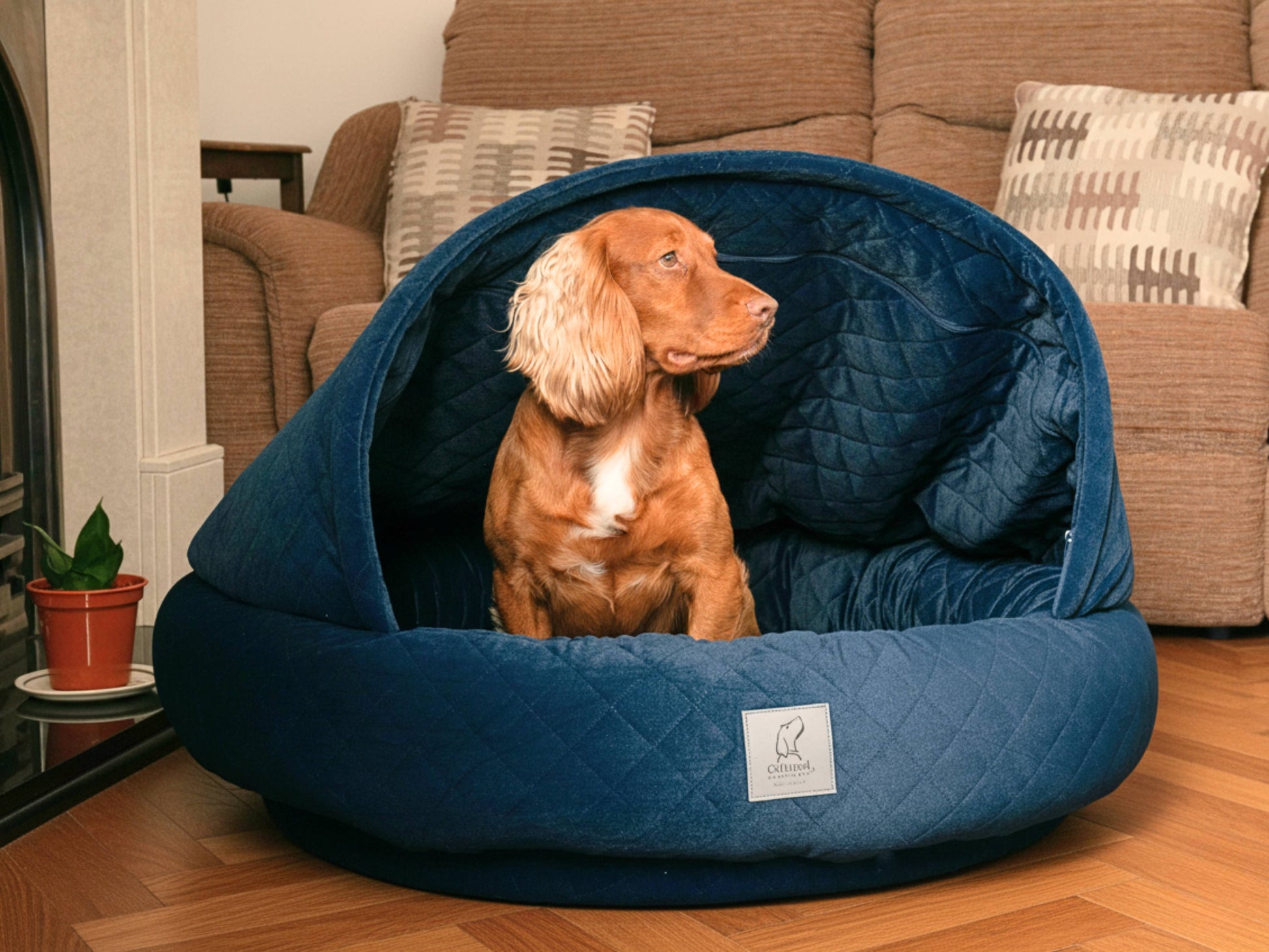Spaniel dog sitting upright inside sapphire blue quilted velour deluxe cocoon dog bed in living room