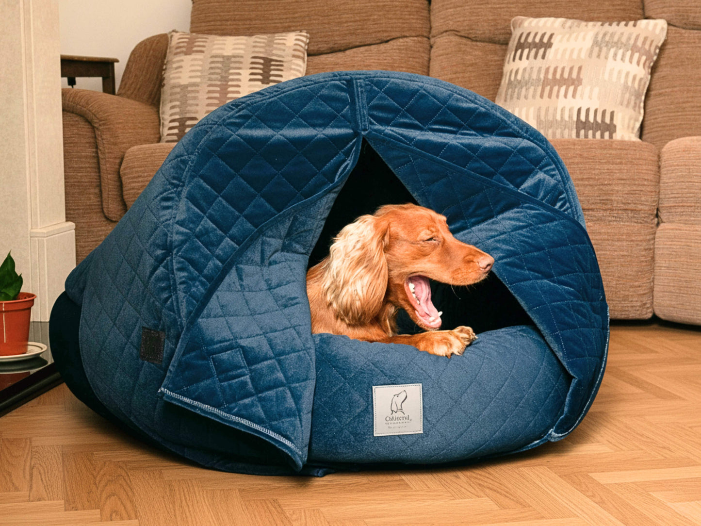 Spaniel dog yawning inside sapphire blue quilted velour deluxe cocoon dog bed in living room