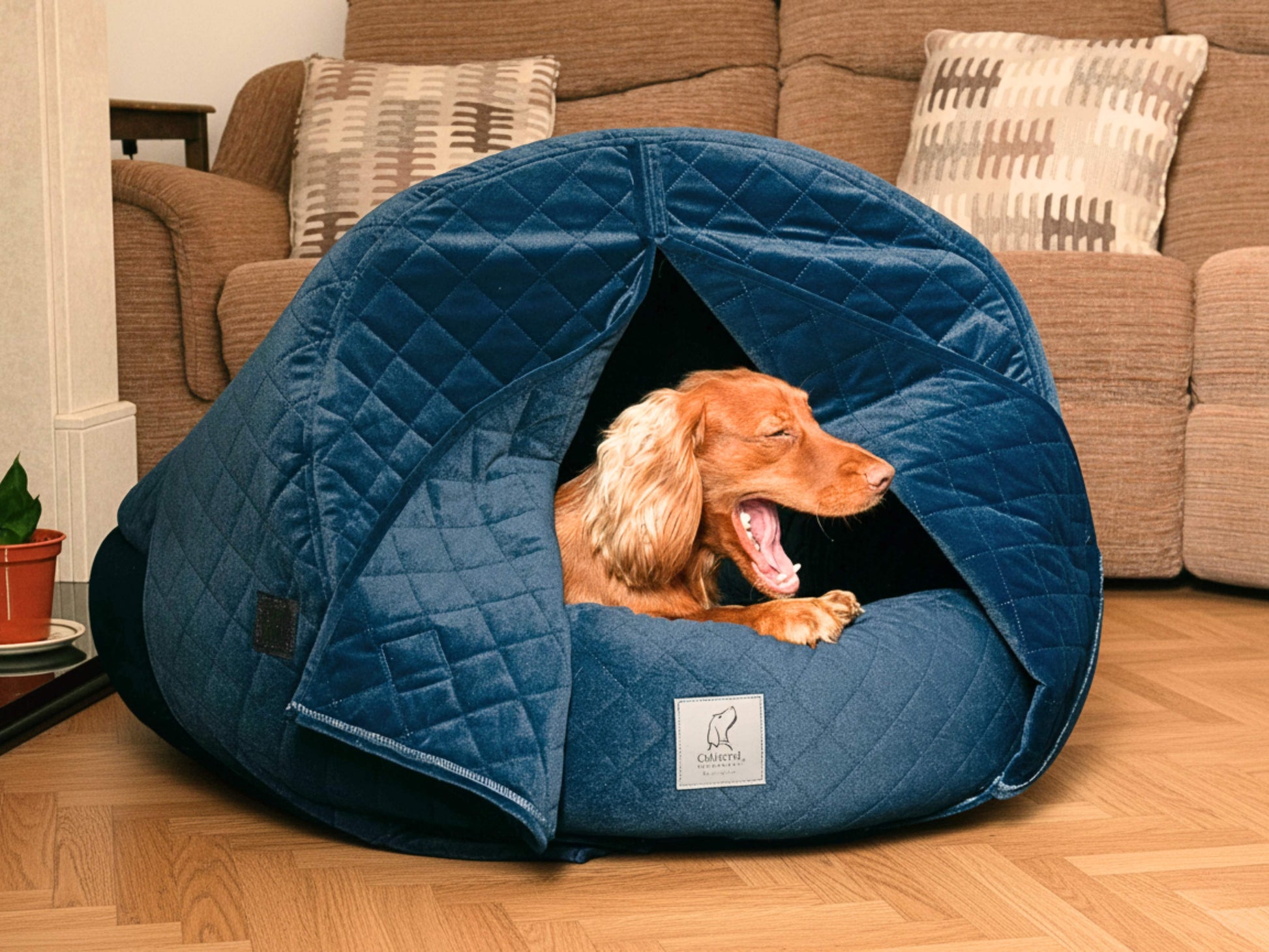 Spaniel dog yawning inside sapphire blue quilted velour deluxe cocoon dog bed in living room