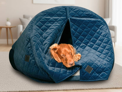Spaniel dog sleeping inside sapphire blue quilted velour deluxe cocoon dog bed in living room