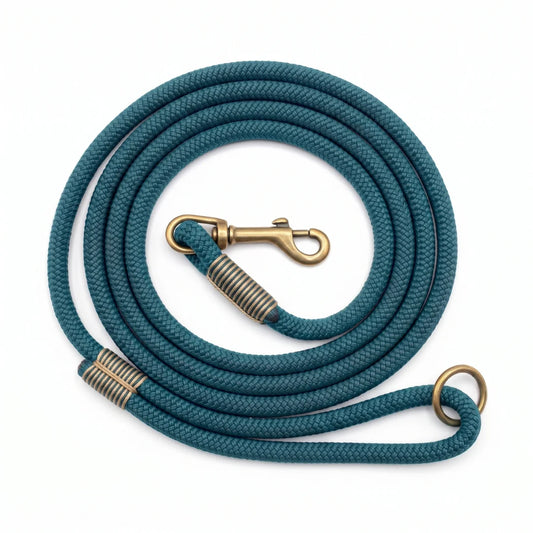 A coiled teal braided rope leash with antique brass hardware, including a snap hook, swivel rings, and a loop, shown on a plain white background.