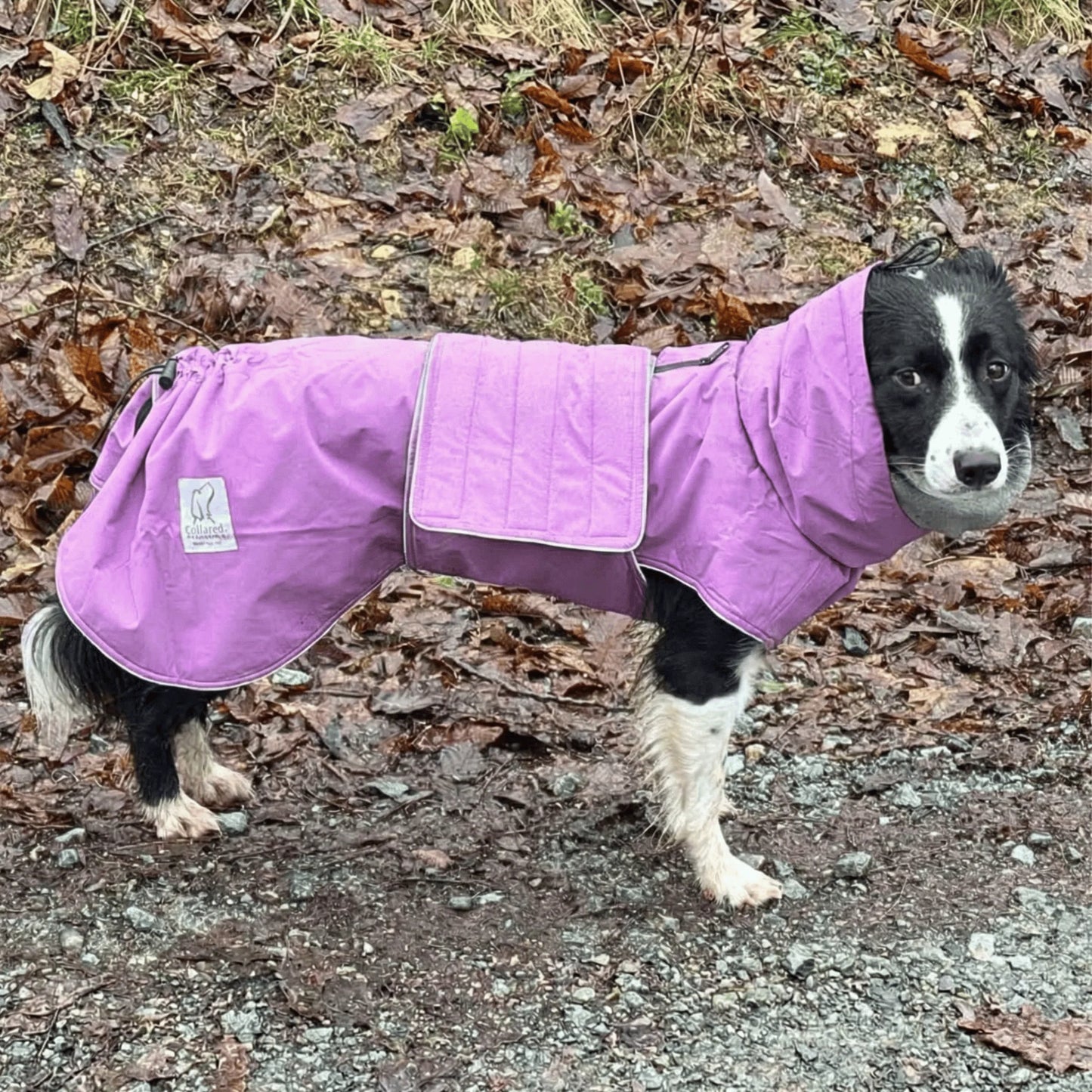 Magenta Superior Waterproof Dog Coat