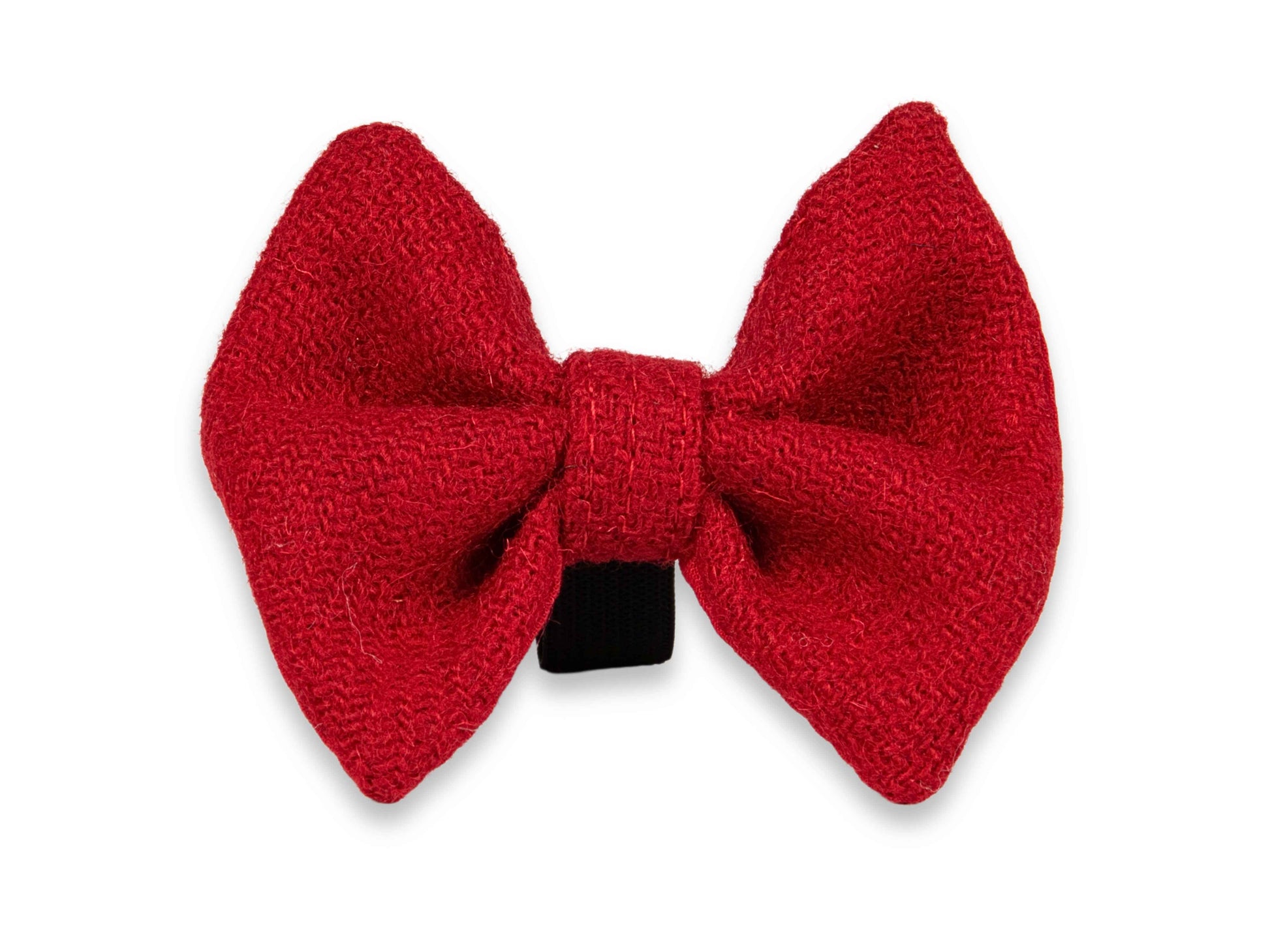 Simply Red Harris Tweed dog bow tie – handmade in bold red for standout style