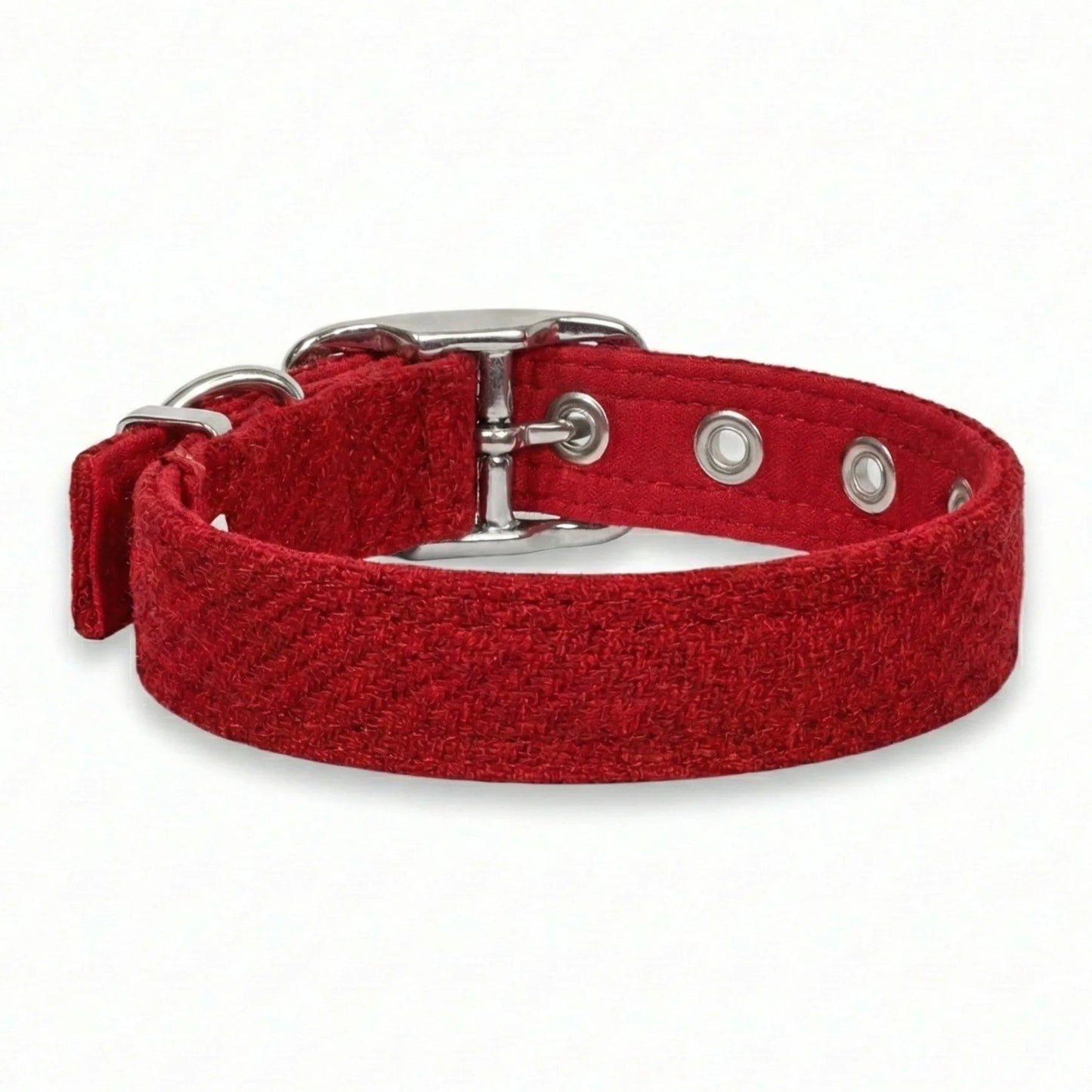 Red dog collar with silver buckle on a white background
