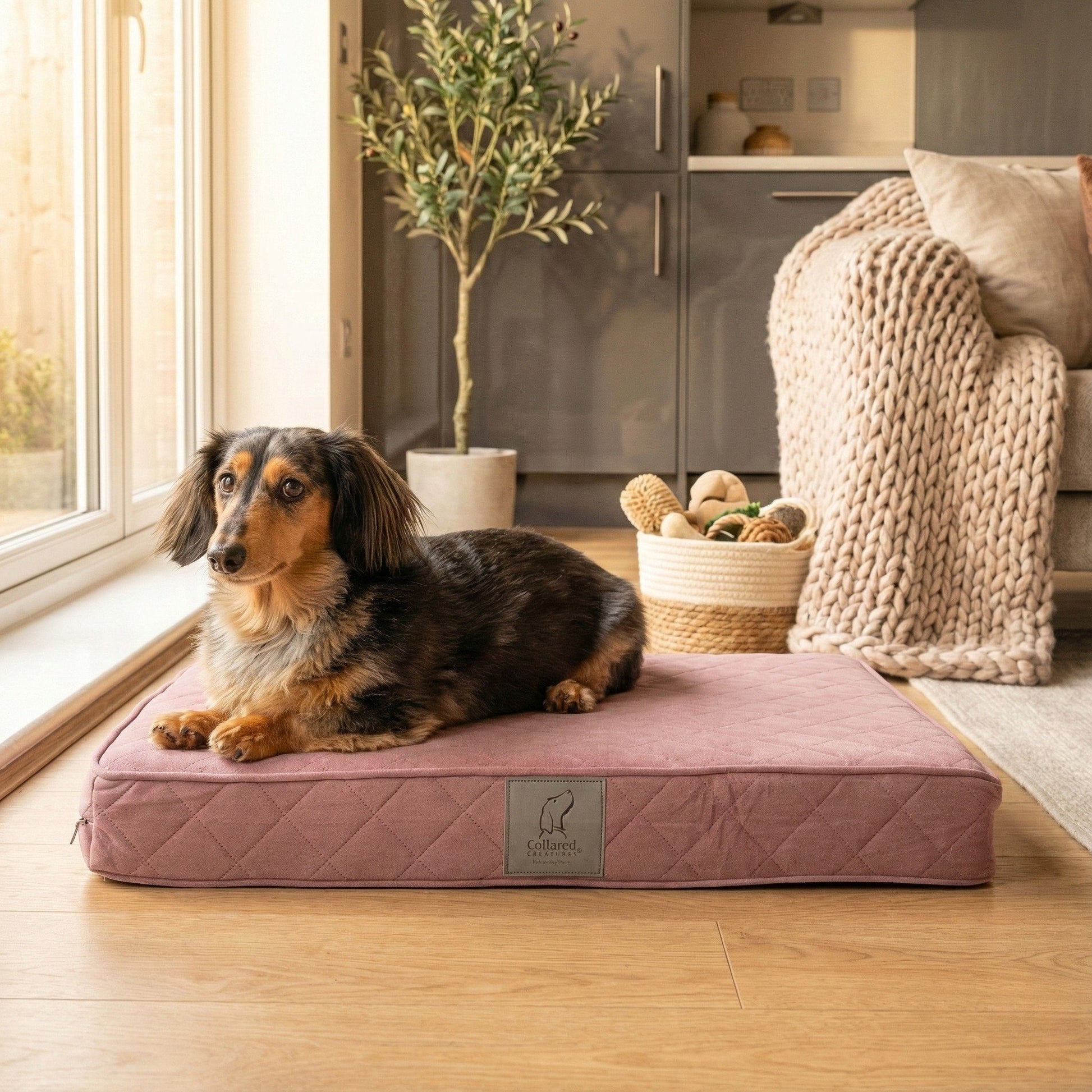 Dog lying on a pink pet mattress bed in a cozy living room.