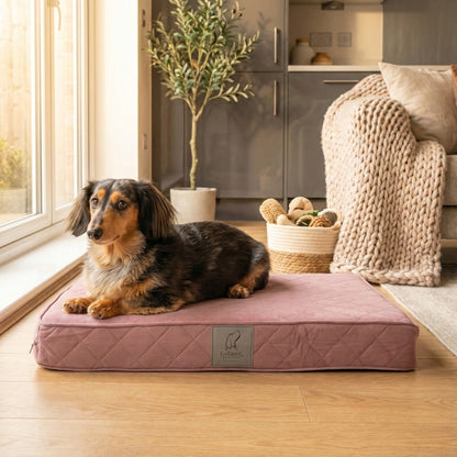 Dog lying on a pink pet mattress bed in a cozy living room.