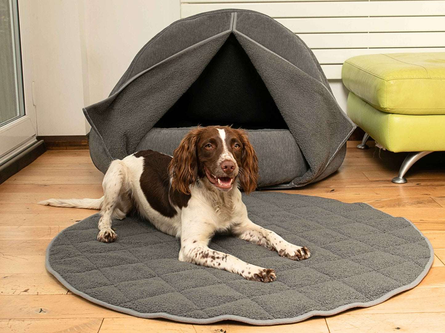 spaniel lying on teddy fur dog mat