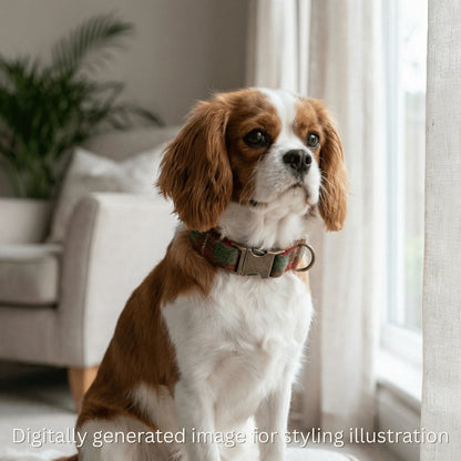 Christmas Check Harris Tweed Dog Collar