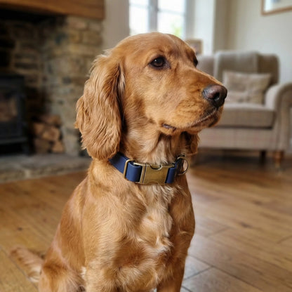 Navy Waterproof Biothane Metal Clasp Dog Collar - Collared Creatures LTD