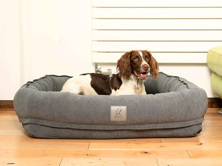 Springer Spaniel lounging inside grey bolster bed with raised sides for comfort and support