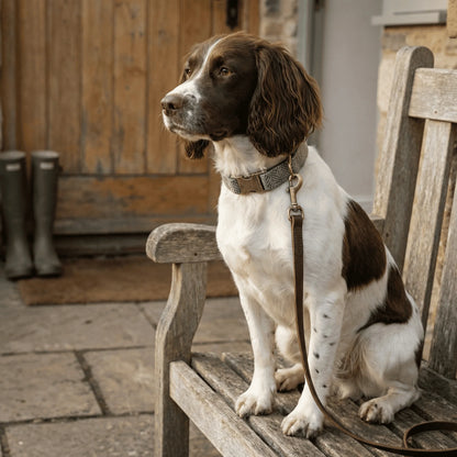 Green Herringbone Luxury Harris Tweed Dog Collar