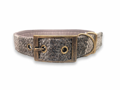 Dog collar with textured harris tweed and brass buckle on a white background
