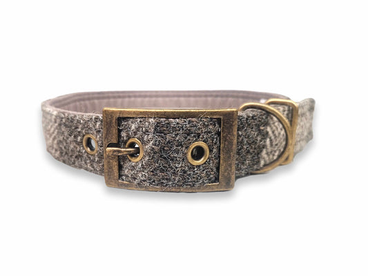 Dog collar with textured harris tweed and brass buckle on a white background